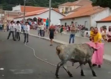 Un hombre con un bebé en brazos mientras torea a una vaquilla causa indignación en Portugal