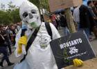 Monsanto, condenado en EE UU por no advertir de que su herbicida podía ser cancerígeno