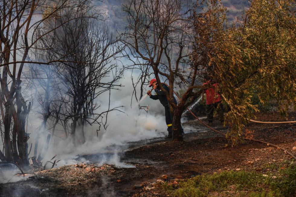 Un bombero y un vecino de Psachna, en la isla griega de Eubea, tratan de extinguir el fuego este domingo.