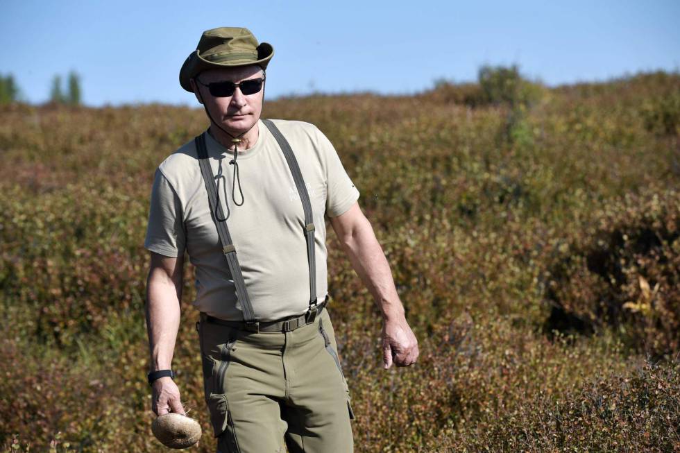 Una foto del presidente ruso Vladimir Putin durante sus vacaciones en el sur de Siberia, hace dos dÃ­as