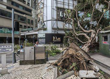 Hato, el tifón más dañino de la temporada, deja 12 muertos en China