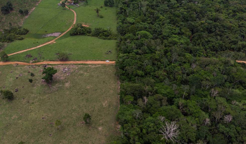 LÃ­mite entre terrenos dedicados a labores agrÃ­colas y la Amazonia, en el Estado de Rondonia (Brasil).