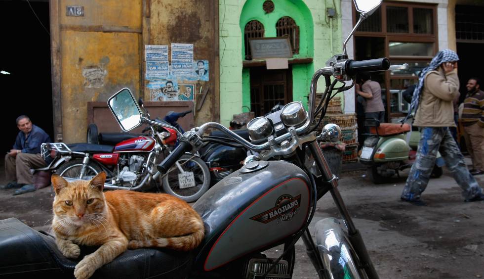 De La Calles De El Cairo A La Olla En Corea Blog Mundo Global El Pais