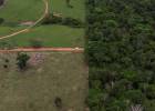 Los afectados por derrames de petróleo en la Amazonia peruana tienen metales pesados en el cuerpo
