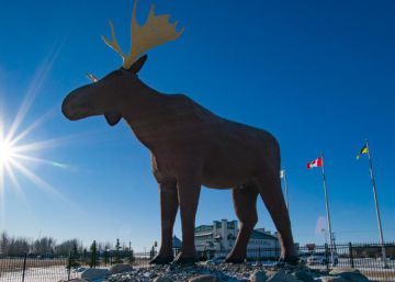 Canadá y sus cuentas pendientes con Noruega: pugnan por la estatua de alce más alta del mundo