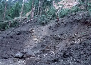 El cráter que ha dejado el lanzamiento de explosivos por cazas indios en Balakot. 