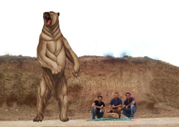 Descubierto en Argentina un oso gigante que vivió hace 700.000 años