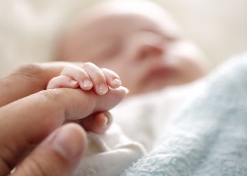 Dos gemelos brasileños condenados a pagar pensión alimenticia a la misma niña