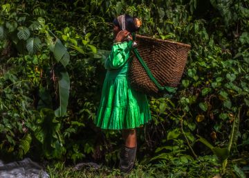 Una mujer del pueblo emberá carga un cesto para cruzar el río San Juan.