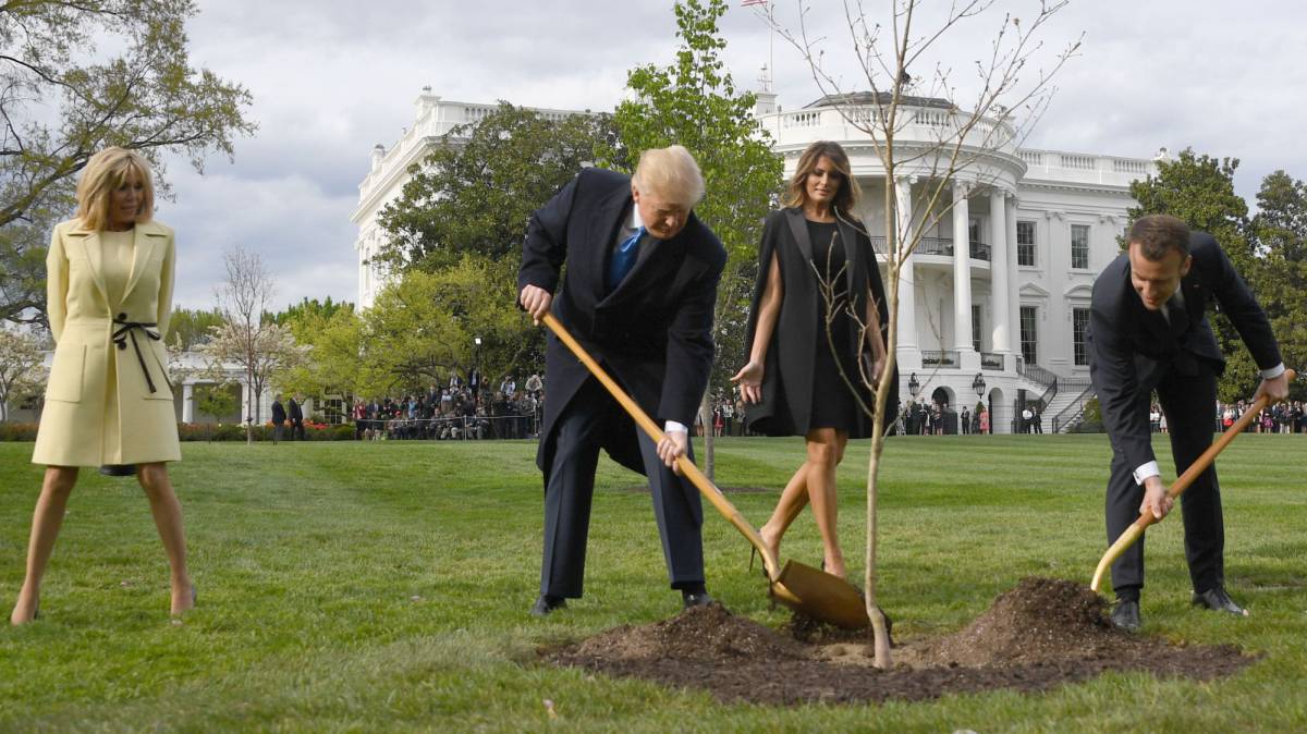 Trump y Macron plantan un árbol en la Casa Blanca.