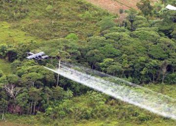 Colombia recupera las polémicas fumigaciones con glifosato contra los cultivos de coca