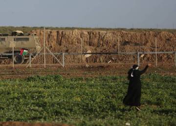 La ‘guerra herbicida’ de Israel arrasa cultivos en Gaza