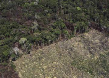 El Brasil de Bolsonaro, villano ambiental planetario