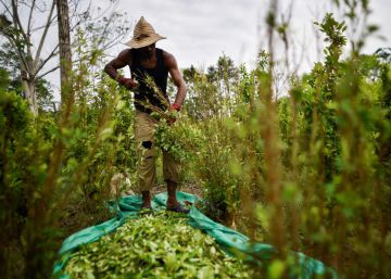 Venezolanos, las nuevas víctimas de la guerra en Colombia