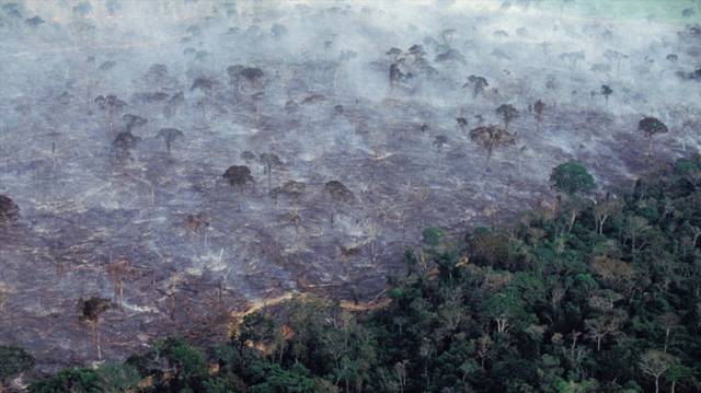¿Cuánta responsabilidad tiene Bolsonaro por los incendios en el Amazonas?