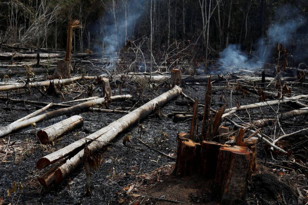 Región de la Amazonia brasileña tras los incendios.