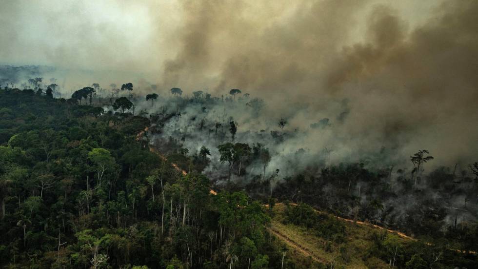 La Amazonia sin ley de Bolsonaro