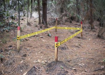 Los grupos criminales se fortalecen en el primer año de Gobierno de Duque