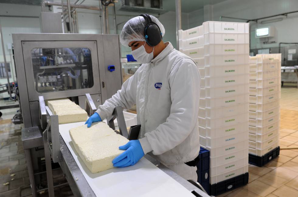 Un trabajador manipula una horma de queso en la fábrica de Tregar.