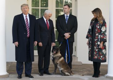 Trump rinde honores al perro que participó en la operación contra el terrorista Al Bagdadi