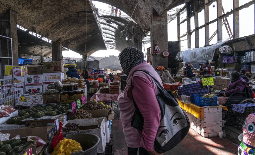 Una mujer de compras en el mercado de La Merced.