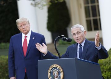 Pasteles con la cara del Fernando Simón estadounidense