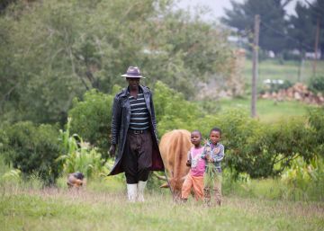 El último país sin covid-19 del sur de África registra su primer caso