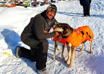 Un vuelo especial para que 24 perros de trineo vuelvan a casa