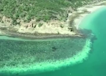 La Gran Barrera de Coral de Australia sufre un pico de altas temperaturas