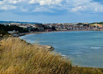 Un niño salva la vida en el mar gracias a los consejos que vio en un programa de la BBC