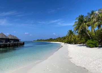 Se busca librero para trabajar en el paraíso