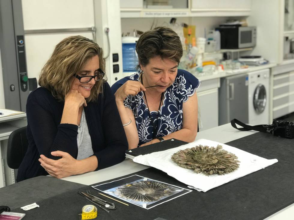 Doctores Filloy y Moreno en el taller de restauración del Museo Quai Branly, en 2018.