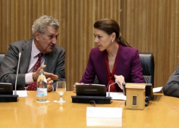 El 'veredicto express' de Alfonso Alonso