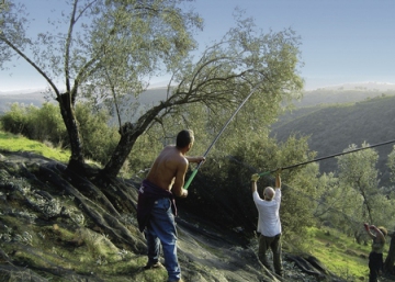 EPA, ¿tanto va el cántaro a la fuente...?