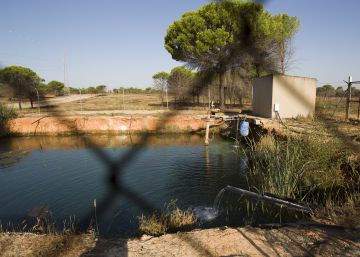 La Junta exige el trasvase del Guadiana para paliar la situación del acuífero de Doñana