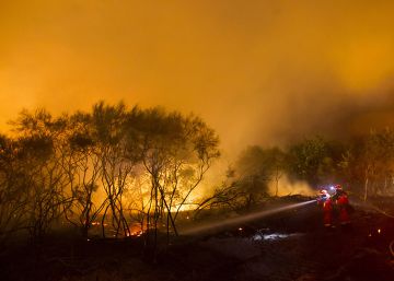 Los incendios devastan el 37% de la superficie quemada en 10 años
