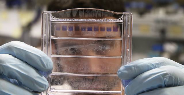 Espa&ntilde;a invierte en 1,25% en I+D, muy lejos de la media europea (2%). 