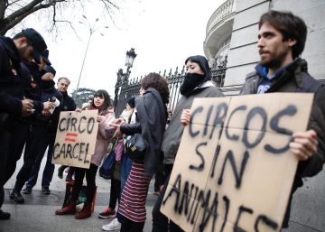 Más de la mitad de las capitales de provincia vetan el circo con animales
