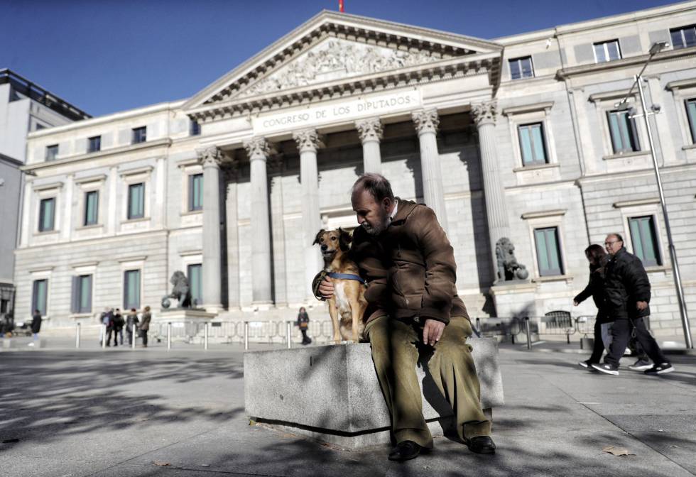 Cão passeia com seu dono em frente ao Congresso dos Deputados.