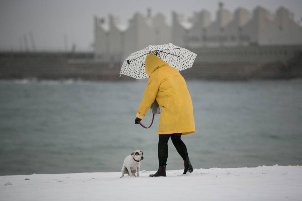 Una mujer pasea con su perro por la playa de Nova Icaria de Barcelona durante la nevada.rn rn 