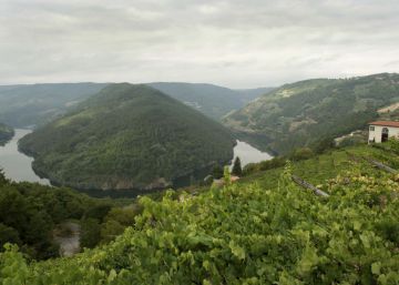 La tierra tiembla en Galicia