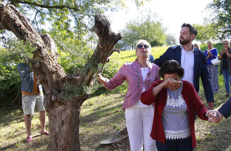 La familia de Antonio Cedillo, asesinado por ETA, junto al olivo plantado en Renteria.