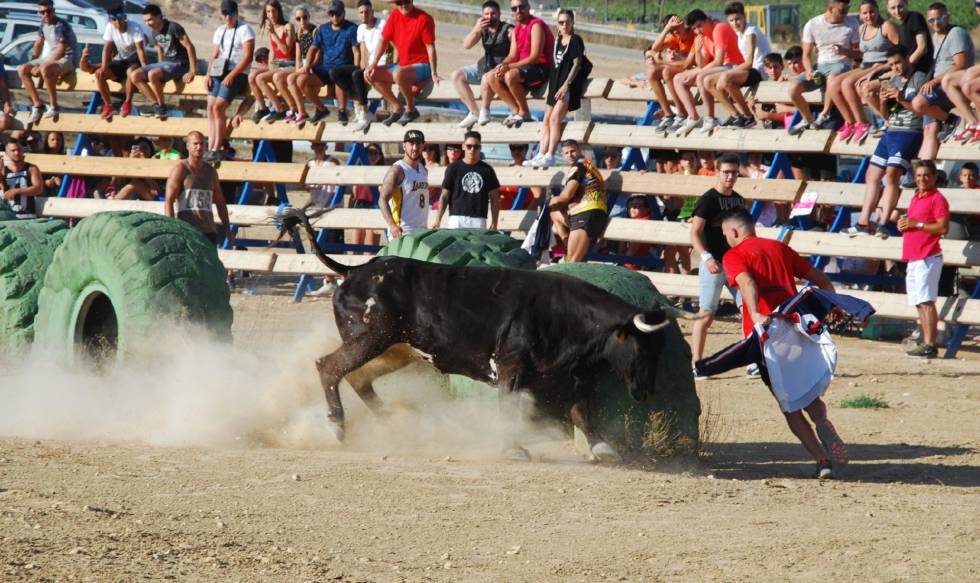 Muere Un Joven Corneado Por Una Vaquilla En Las Fiestas De El Pinos Espana El Pais