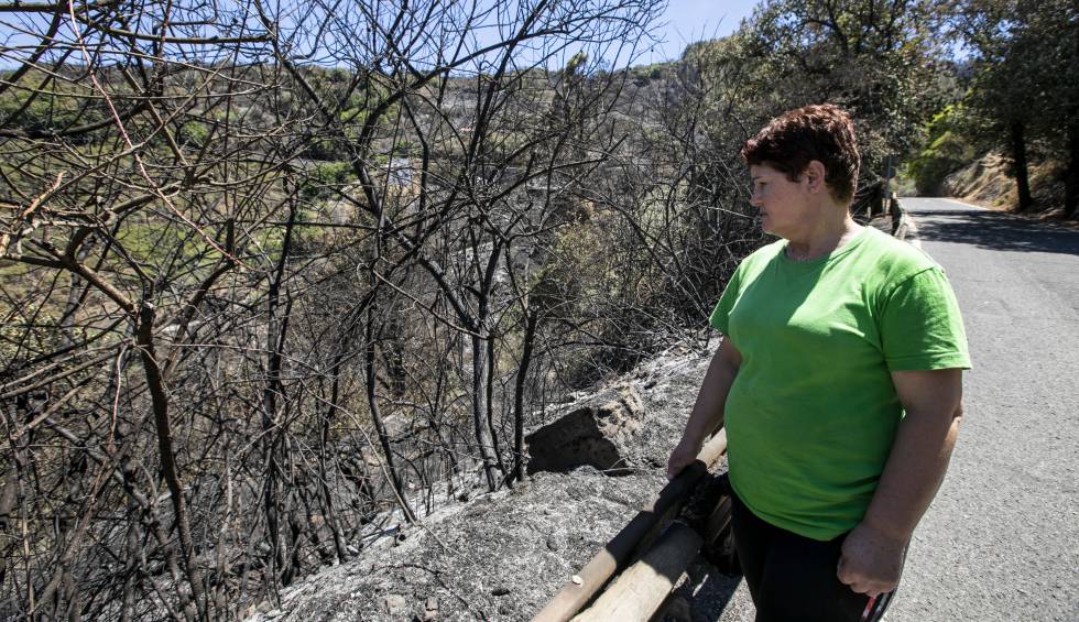 Margarita González observa uno de los terrenos calcinados junto a su vivienda.