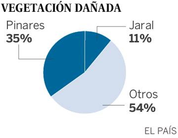 La Gran Canaria devorada por las llamas