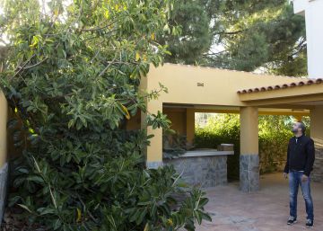 El árbol protegido que terminó invadiendo una casa