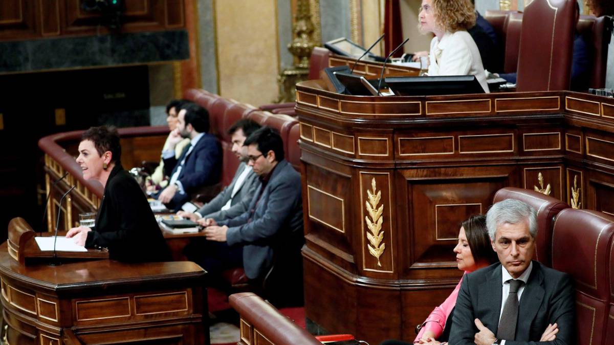La portavoz de EH Bildu en el Congreso, Aizpurua.