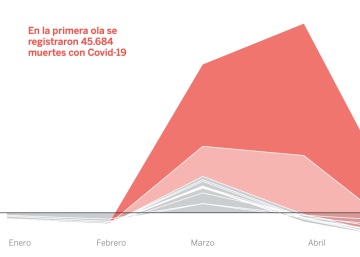Fue casi todo covid. Antígenos. Libros