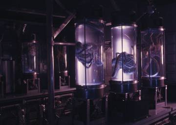 'Aliens': "This time it's war"