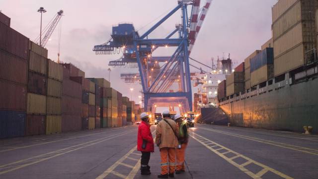 Especializadas y líderes mundiales